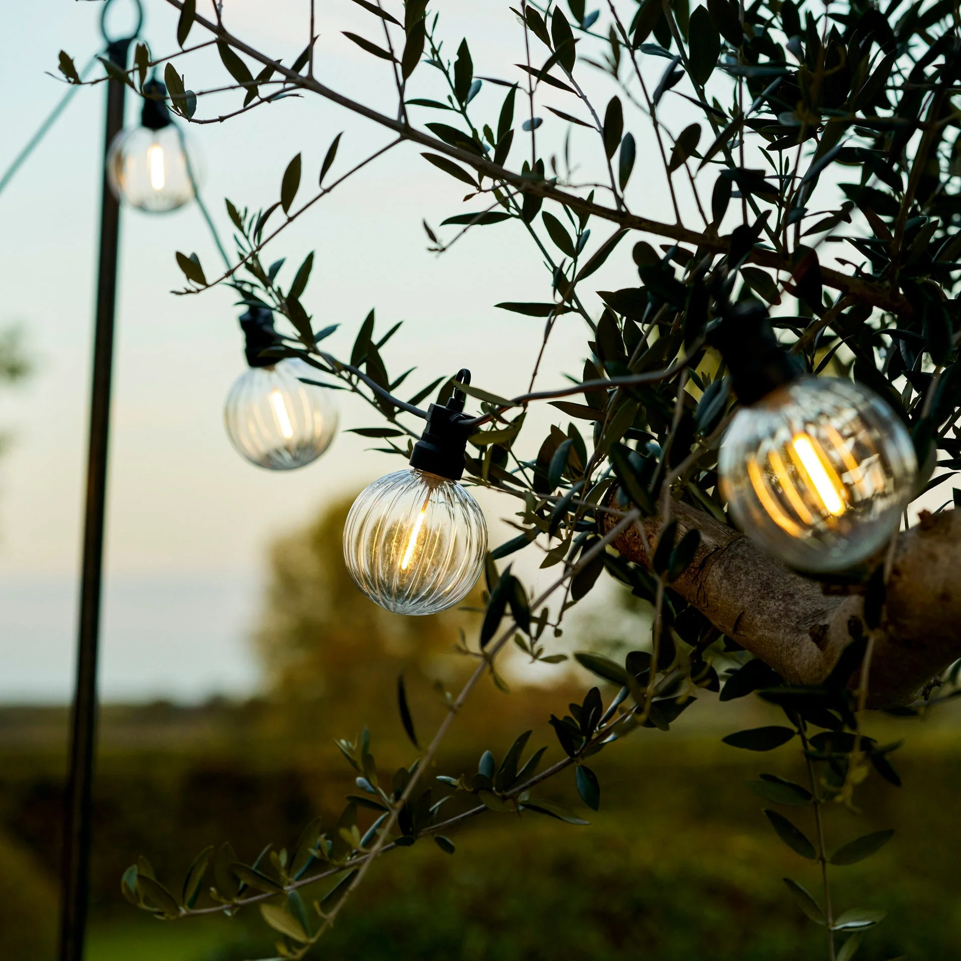 Outdoor Lights